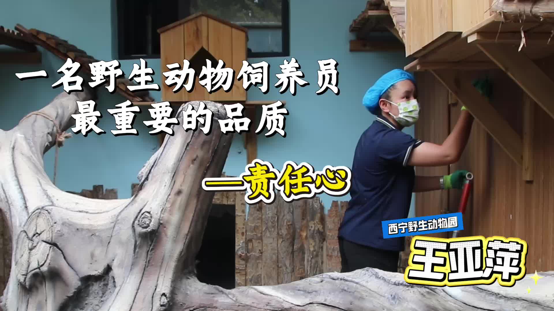 重走中国西北角|王亚萍：八年守护 用责任与细心为高原生灵写下温柔注脚