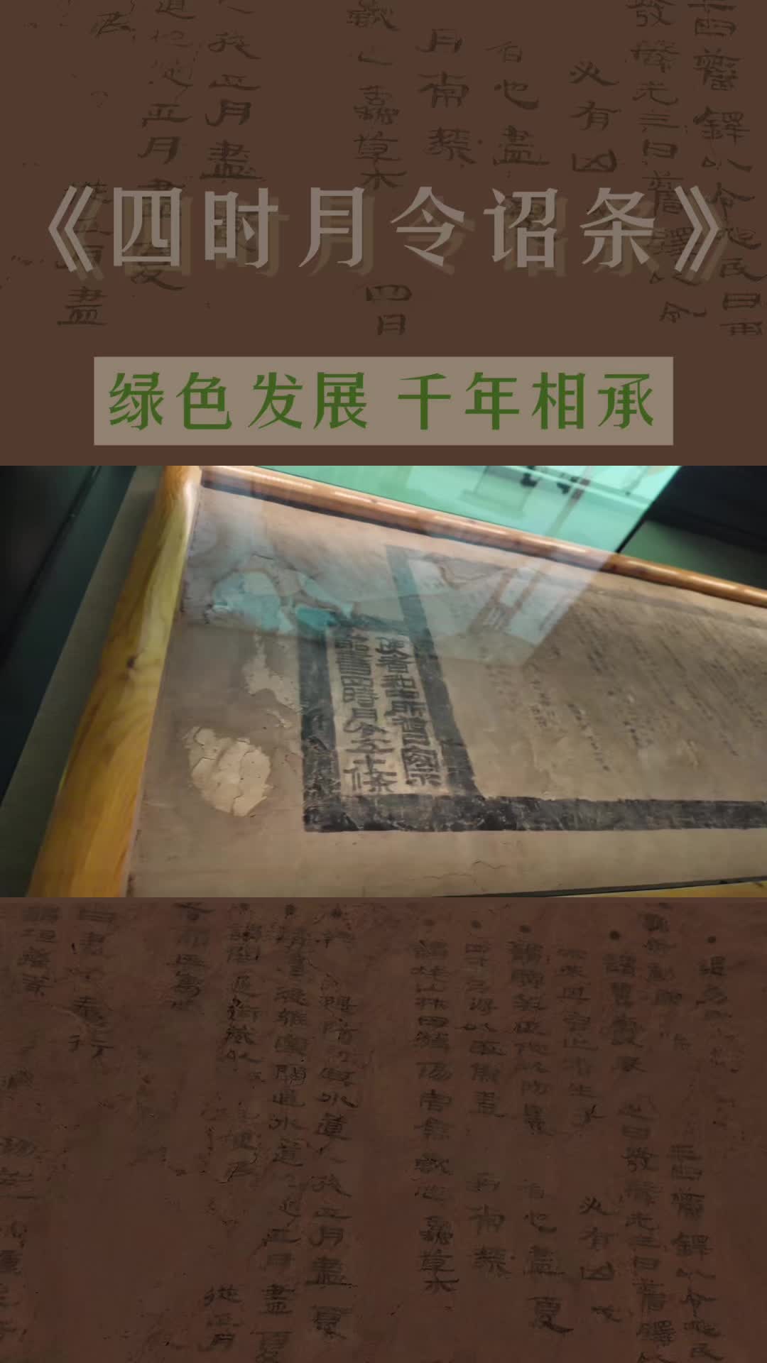 重走中国西北角|汉代《四时月令诏条》：两千年前河西走廊的“生态安全即边疆安全”