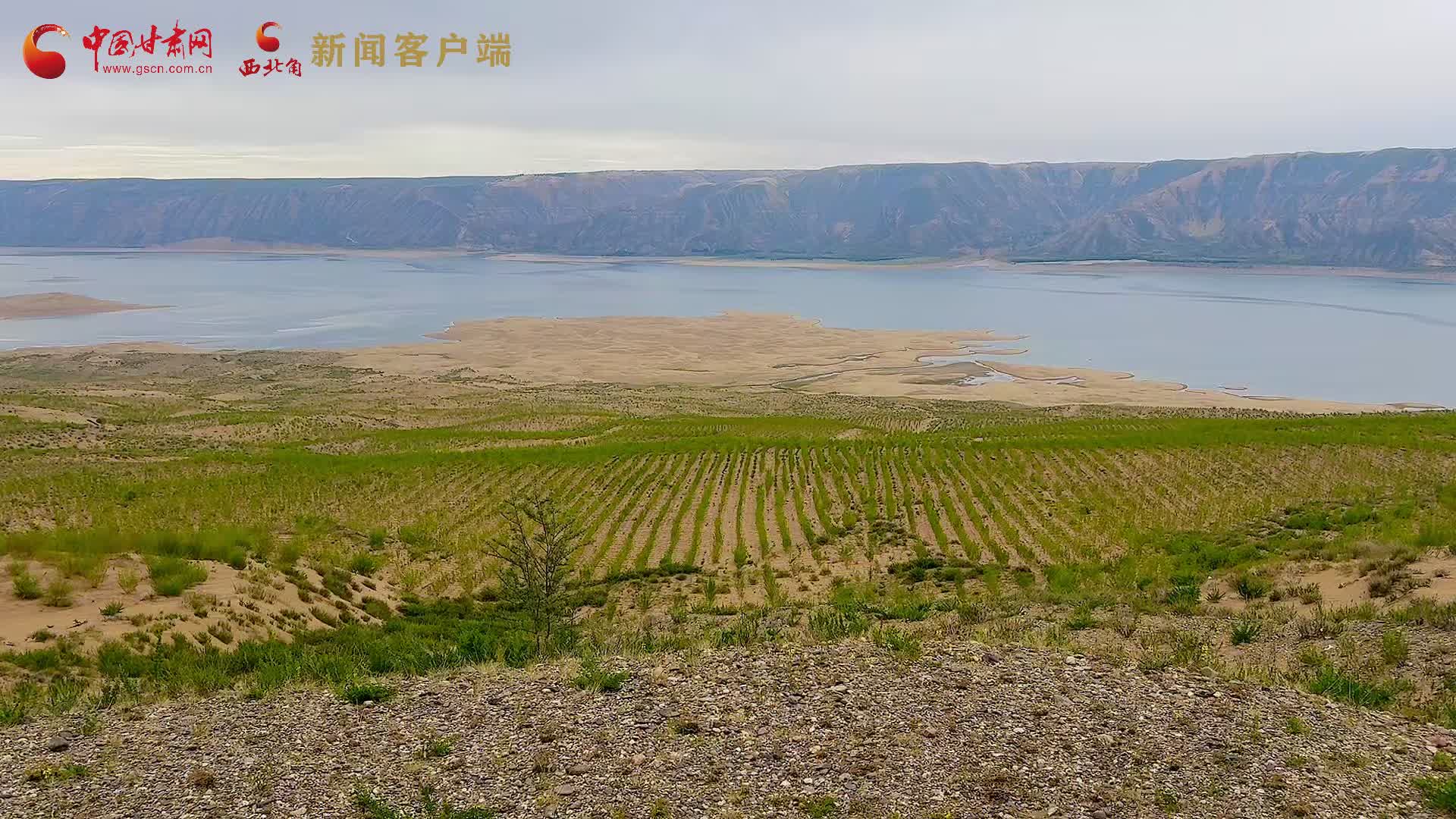 青海龙羊峡库区旧貌换新颜 海南州多措治沙绘就高原绿色答卷