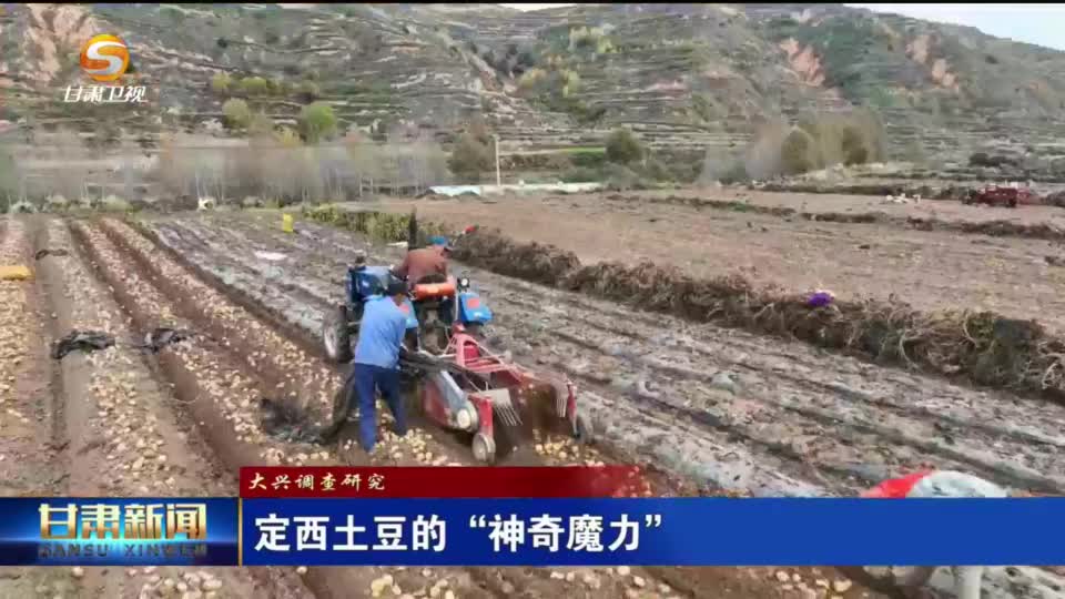 定西土豆的“神奇魔力”