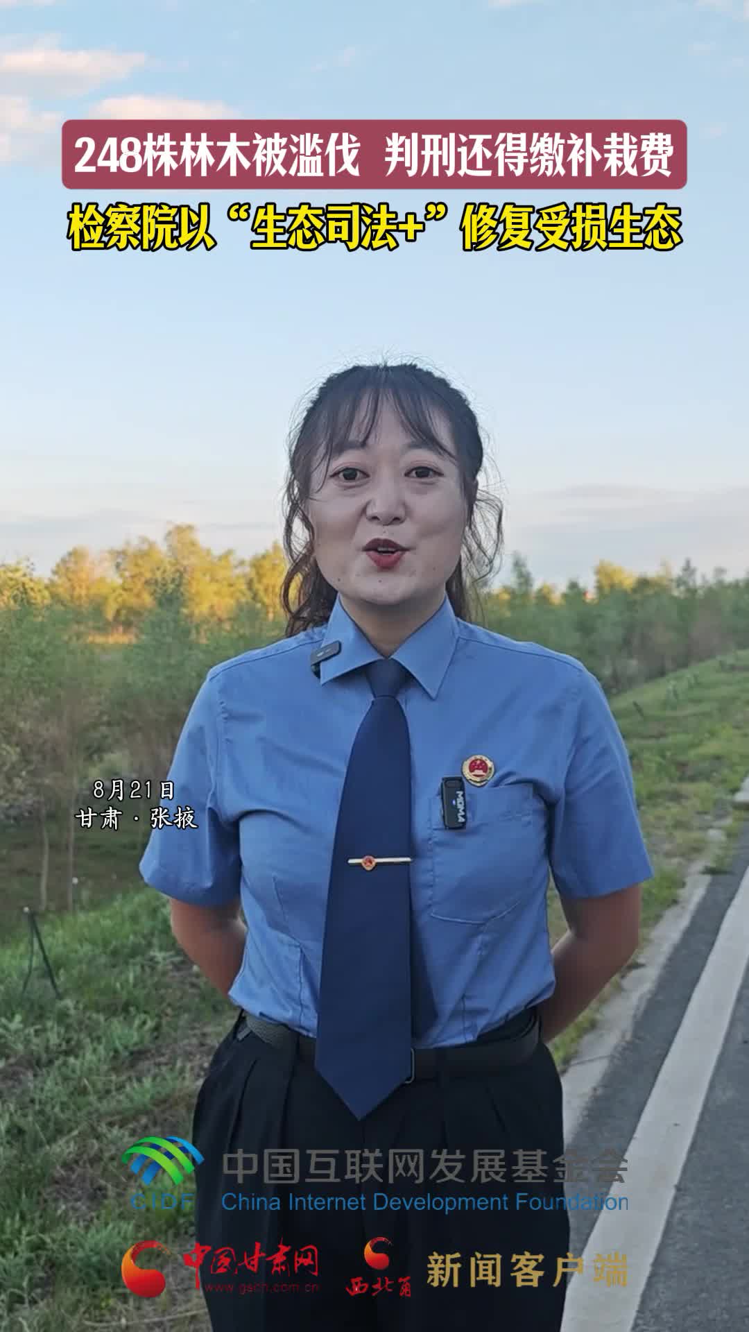 e法耀隴原|248株林木被濫伐 判刑還得繳補栽費 檢察院以“生態司法+”修復受損生態